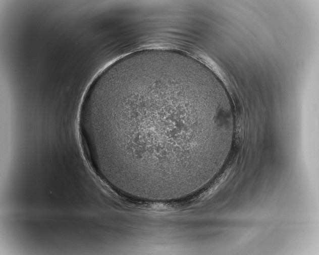 X0000093430787200710261018