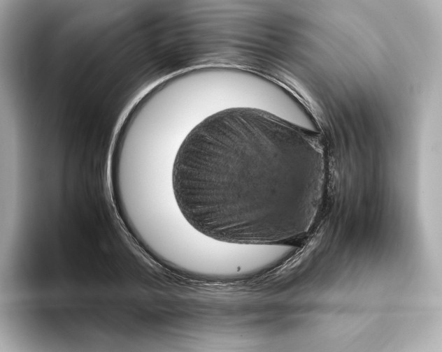 X0000093430788200710261018