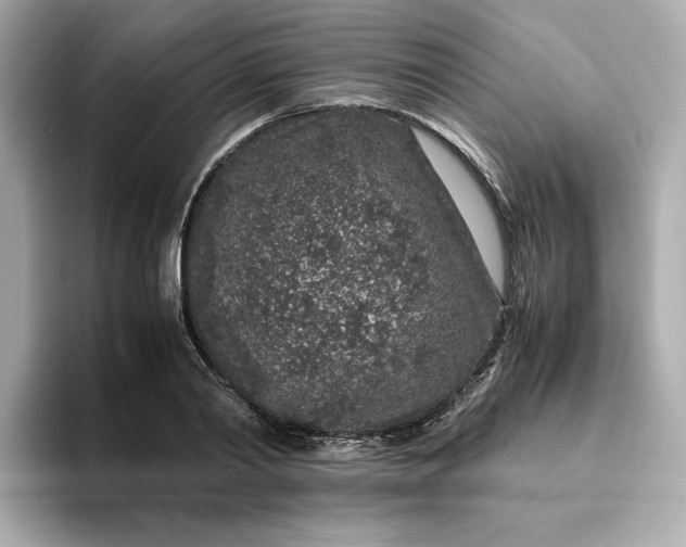 X0000093430790200710261018