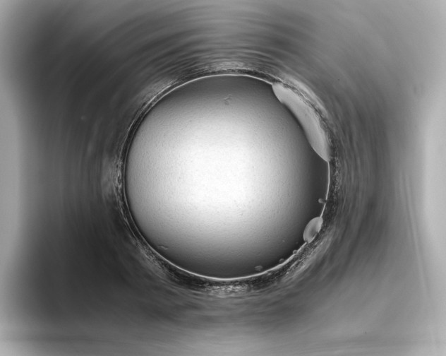 X0000093430793200710261018