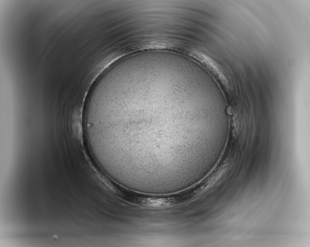 X0000093430794200710261018