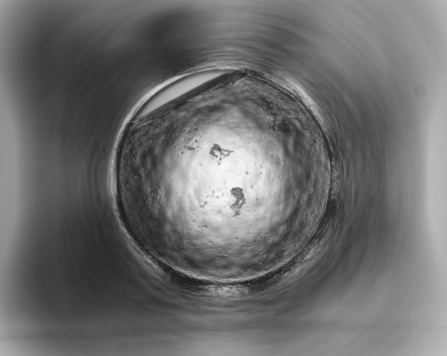 X0000093430795200710261018