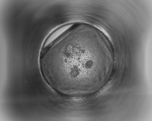 X0000093430799200710261018