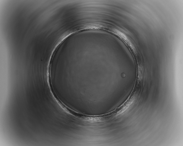 X0000093430802200710261018