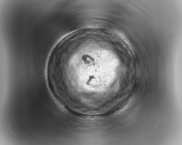 X0000093430803200710261018