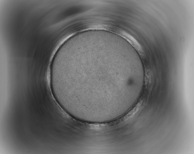 X0000093430804200710261018