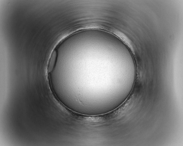 X0000093430805200710261018