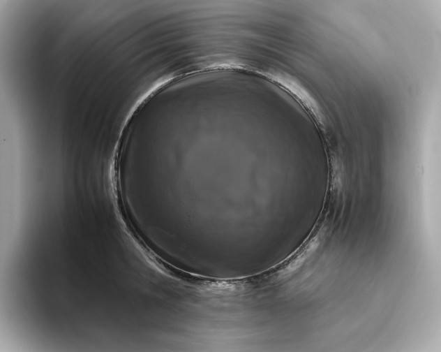 X0000093430806200710261018