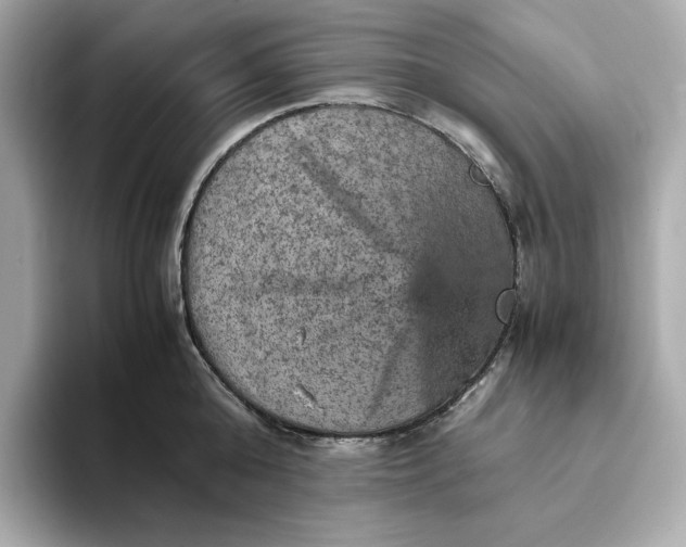 X0000093430808200710261018