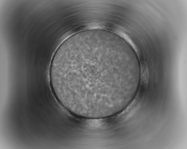 X0000093430810200710261018