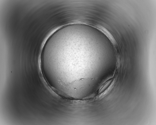 X0000093430812200710261018