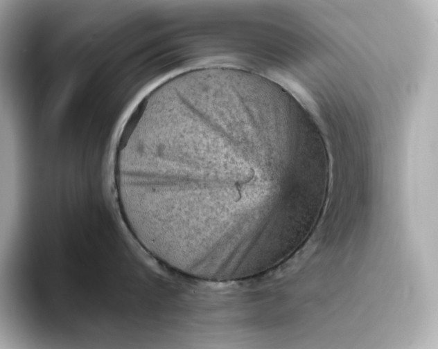 X0000093430816200710261018