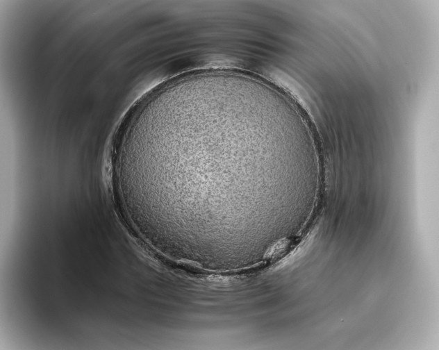 X0000093430827200710261018