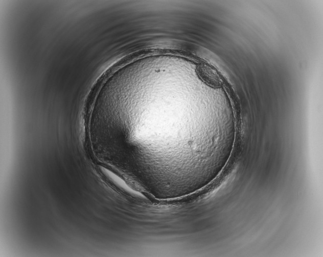 X0000093430829200710261018