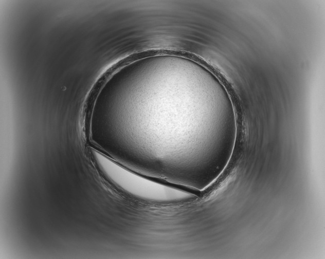 X0000093430830200710261018