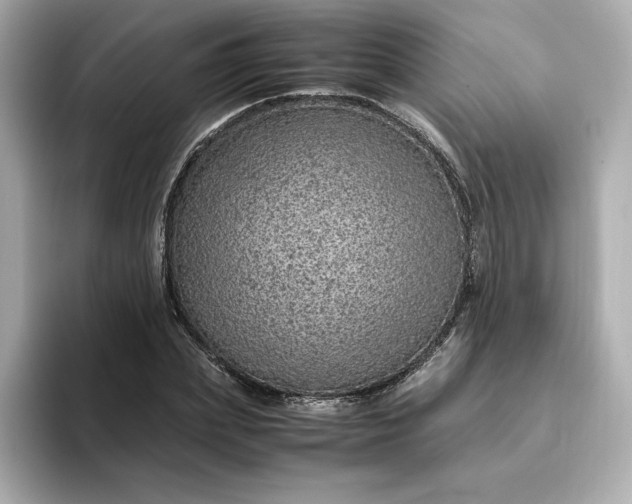 X0000093430831200710261018