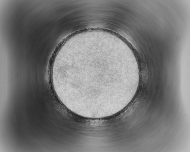 X0000093430832200710261018