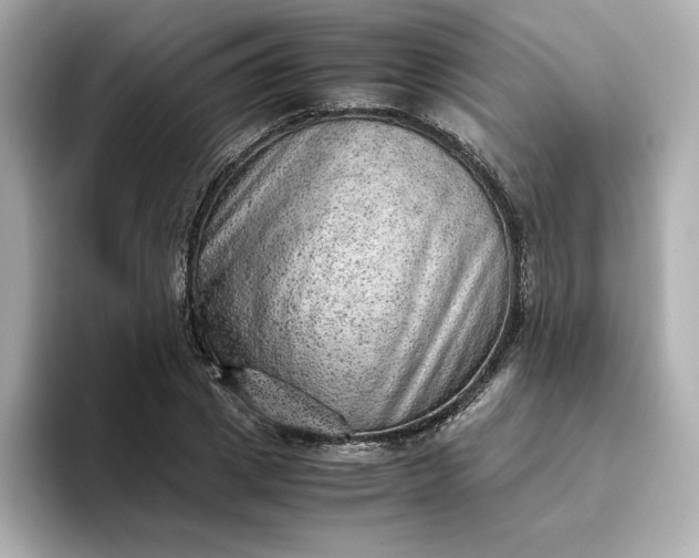 X0000093430833200710261018