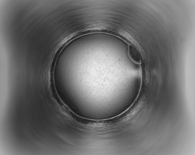 X0000093430834200710261018