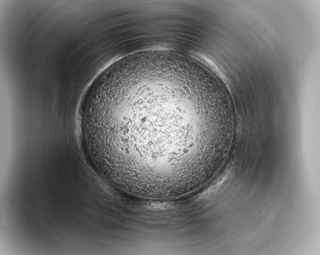 X0000093430835200710261018