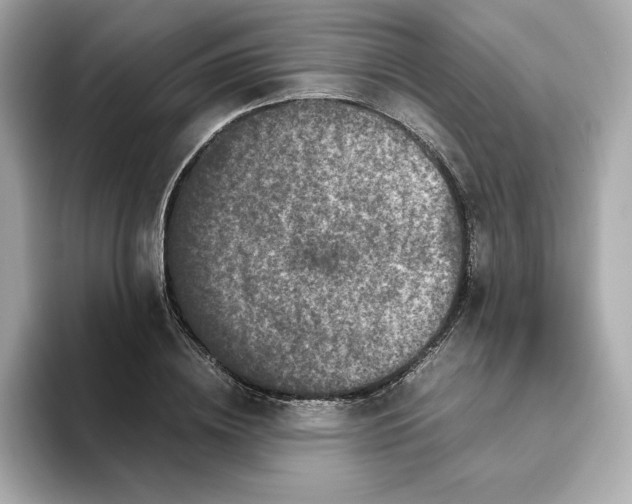 X0000093430836200710261018