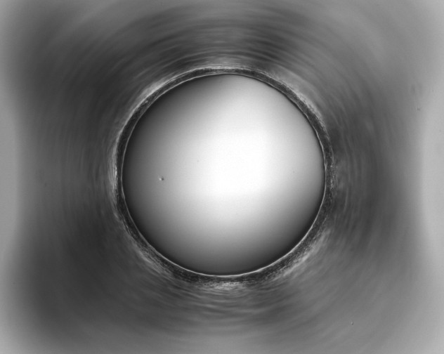 X0000093430837200710261018