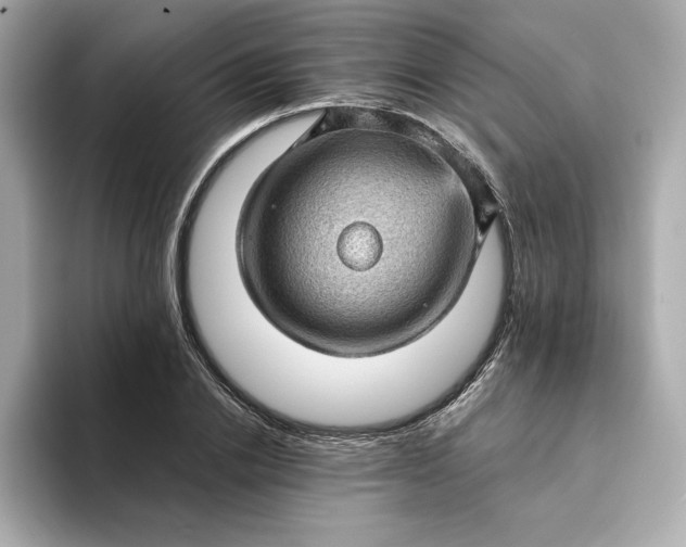 X0000093430838200710261018