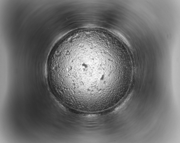 X0000093430839200710261018