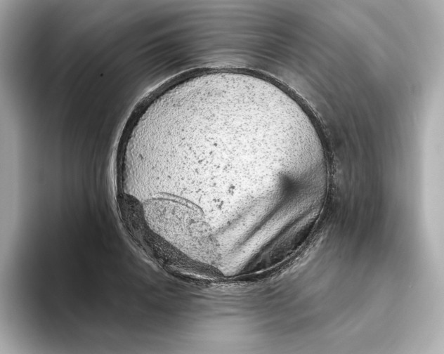 X0000093430840200710261018