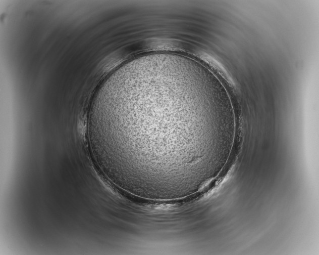 X0000093430841200710261018