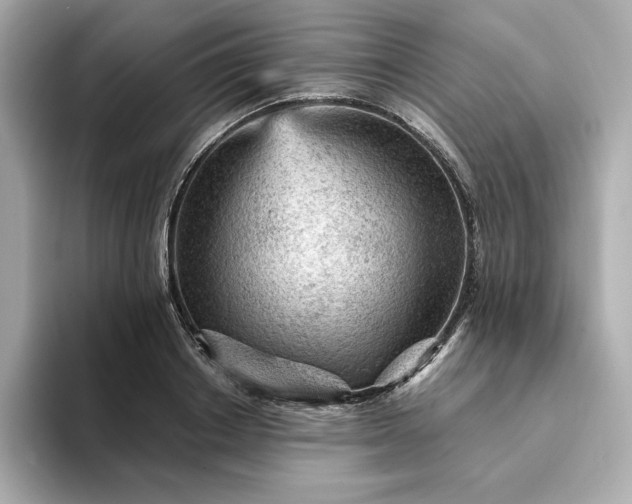 X0000093430842200710261018