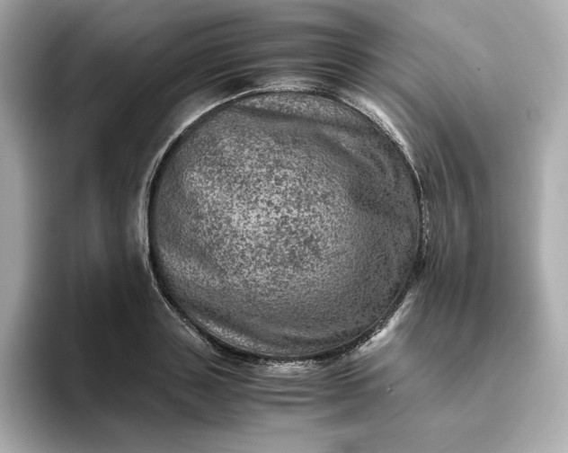 X0000093430843200710261018