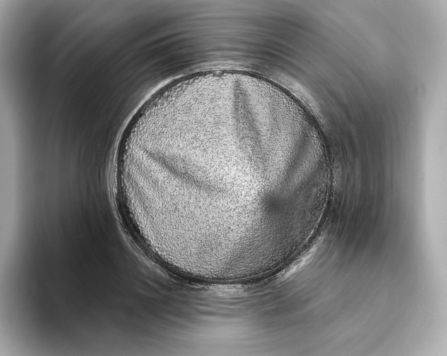 X0000093430844200710261018