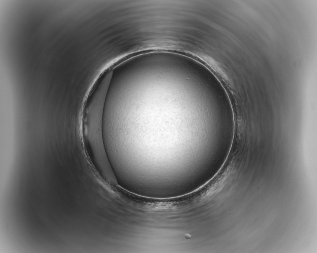 X0000093430846200710261018