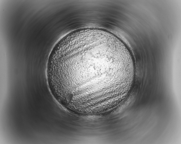 X0000093430847200710261018