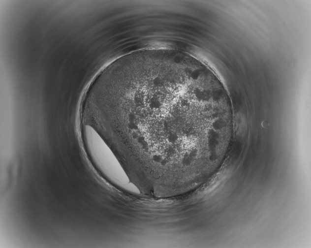 X0000093430851200710261018