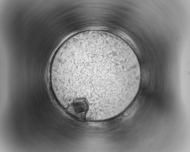 X0000093430852200710261018