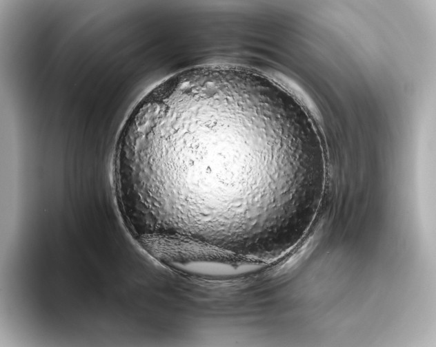 X0000093430855200710261018