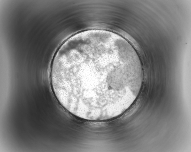 X0000093430856200710261018