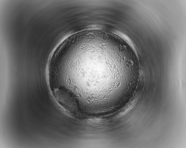 X0000093430859200710261018