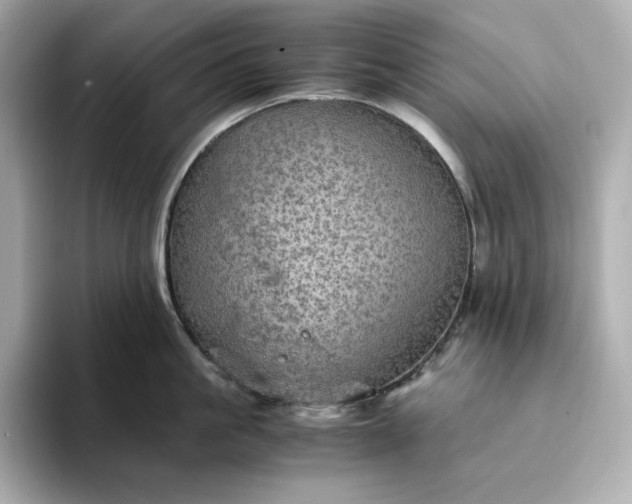 X0000093430861200710261018