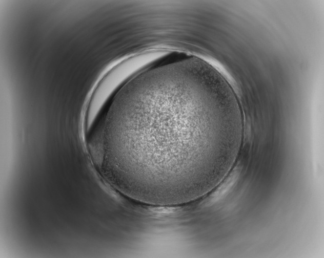 X0000093430862200710261018