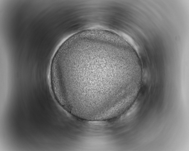 X0000093430863200710261018