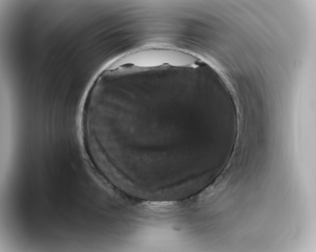 X0000093430864200710261018