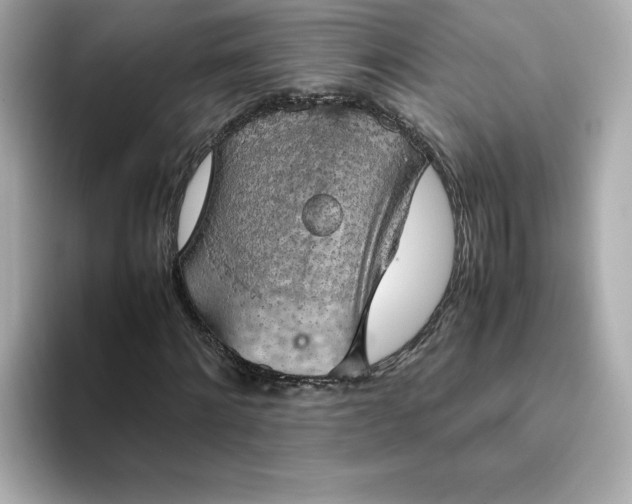 X0000093430868200710261017