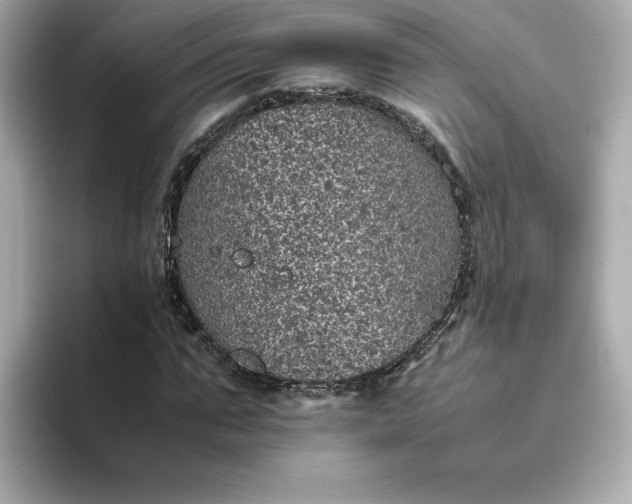 X0000093430871200710261017