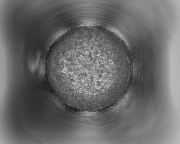 X0000093430874200710261017