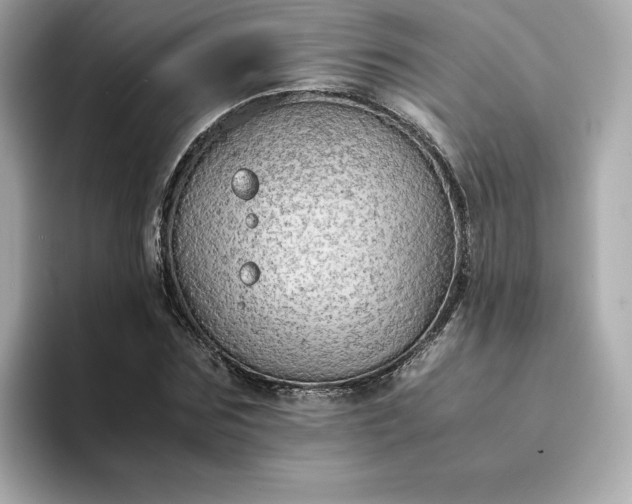 X0000093430875200710261017