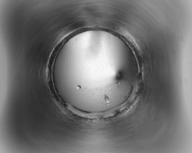 X0000093430876200710261017