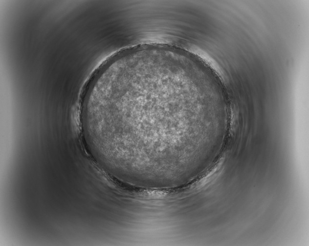 X0000093430878200710261017